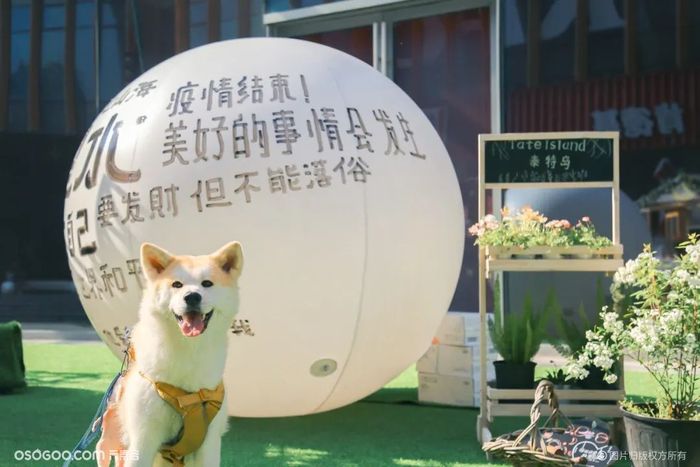 杭州大悦城花甜喜事市集